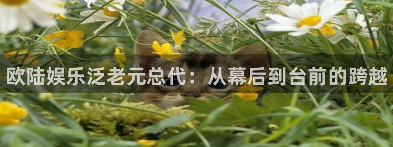 旺财28app网页入口