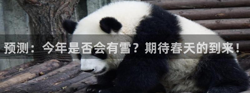 壹号app官网