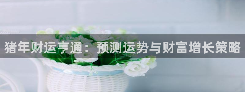 壹号大舞台有梦你就来