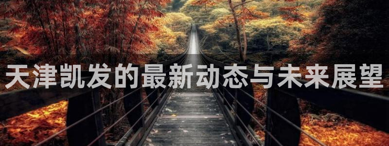 旺财28退款怎么退