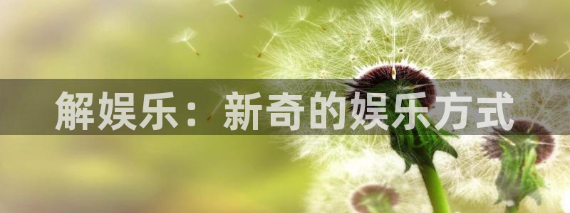 壹号大舞台娱乐传媒