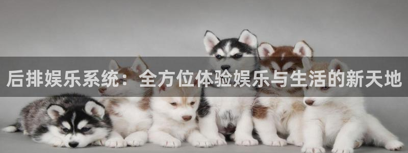 旺财28app入口