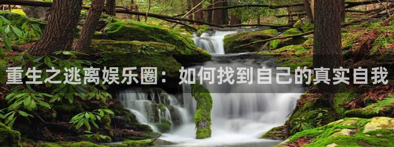 旺财28