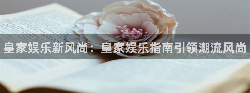 旺财28app入口