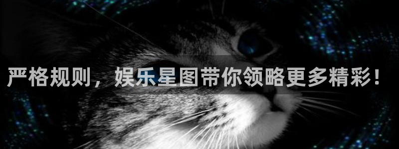 旺财28app下载
