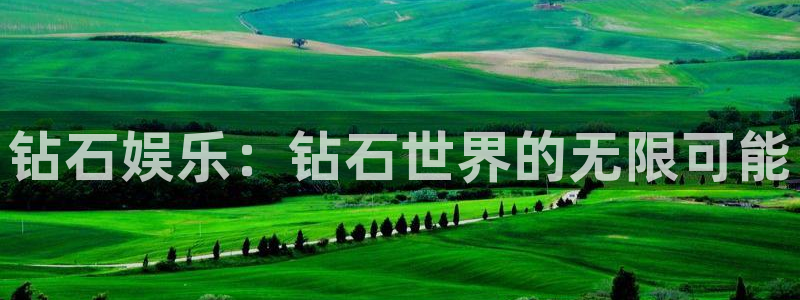 旺财28app入口