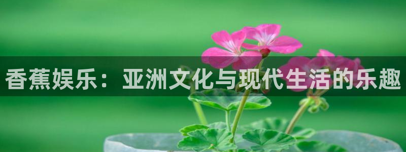 壹号app下载官网娱乐