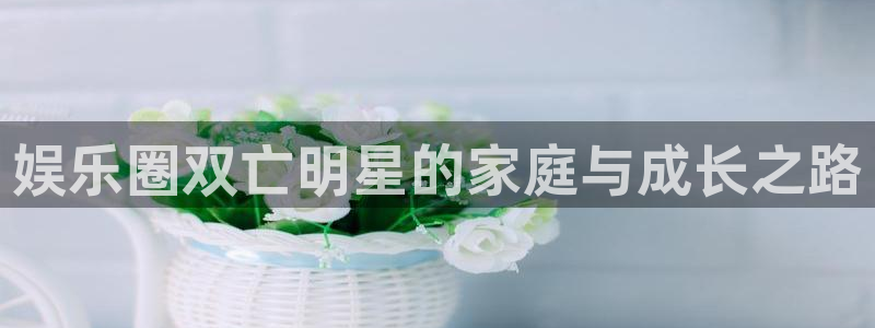 壹号平台娱乐