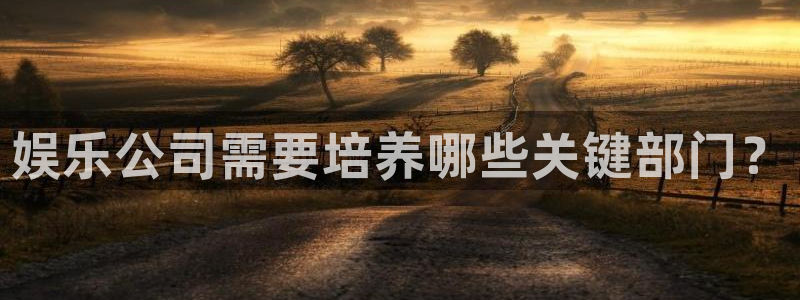 旺财28：娱乐公司需要培养哪些关键部门？