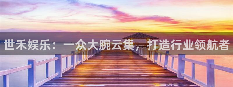 旺财28：世禾娱乐：一众大腕云集，打造行业领航者