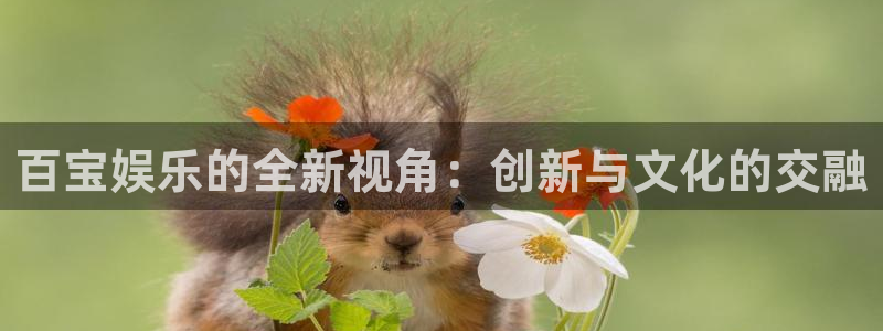 壹号平台下载安装官网：百宝娱乐的全新视角：创新与文化的交融
