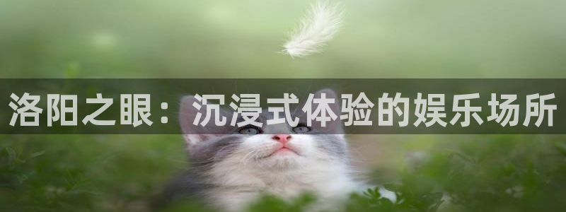 旺财28app官网下载：洛阳之眼：沉浸式体验的娱乐场所