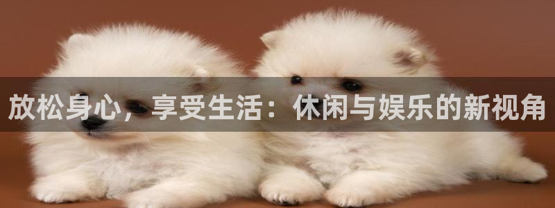 壹号注册入口app下载：放松身心，享受生活：休闲与娱乐的新视角