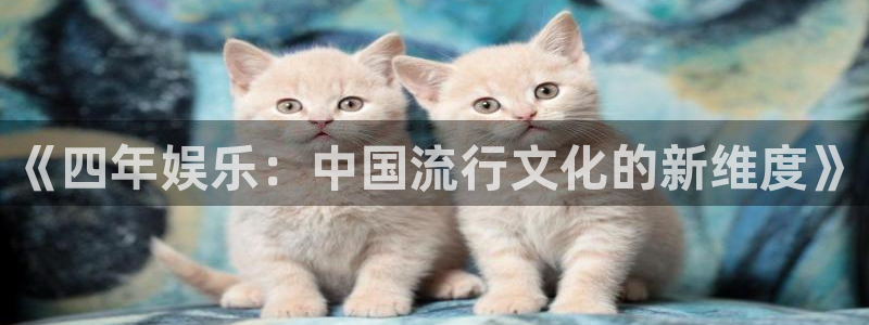 旺财28网站：《四年娱乐：中国流行文化的新维度》