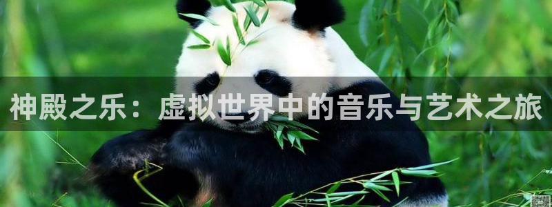 旺财28官方app下载安装：神殿之乐：虚拟世界中的音乐与艺术之旅