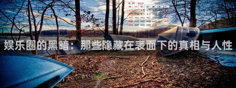 旺财28,com：娱乐圈的黑暗：那些隐藏在表面下的真相与人性