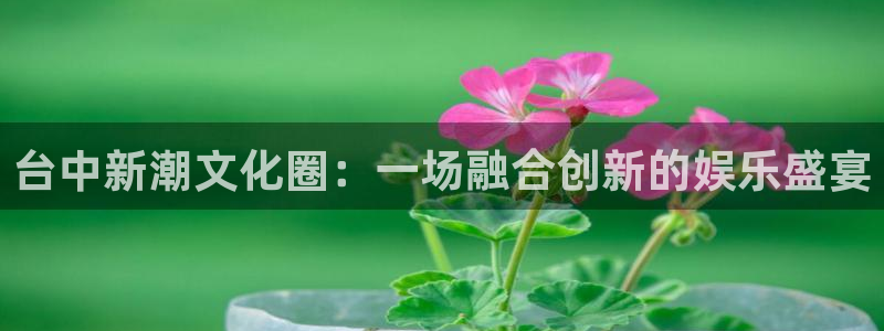 旺财28app入口：台中新潮文化圈：一场融合创新的娱乐盛宴