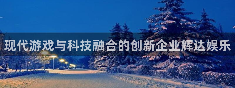 旺财28,com：现代游戏与科技融合的创新企业辉达娱乐
